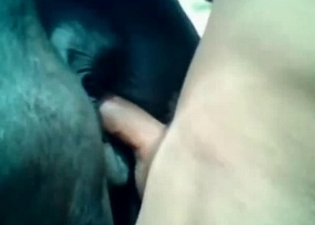 Turn on this awesome zoo sex video