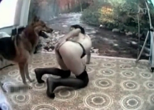 Astonishing model gets punished by a hound
