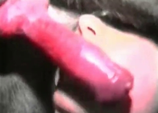 Kinky model is tasting a cur's cock
