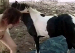 Little horse is jizzing on a babe