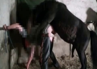Small horse is showing fuck skills