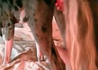 Tight vagina gets penetrated by a puppy