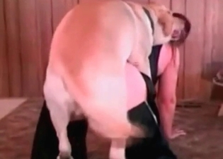 Watch a doggy practicing sex with a human