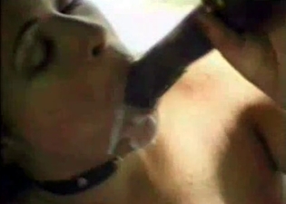 Oral fuck session with a stallion